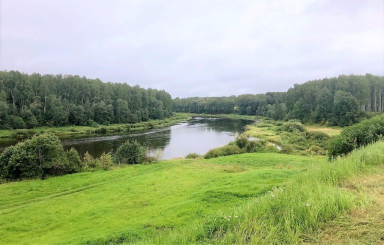 meroprijatijaraion070721