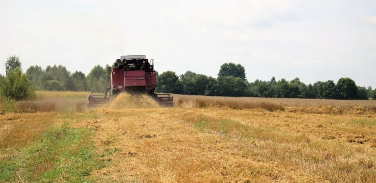 derevnja120821