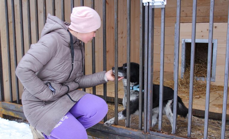 shans_dlya_hvostikov010423