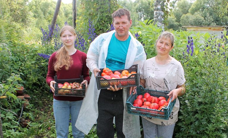 pomidornii_rai_fetisovih280723