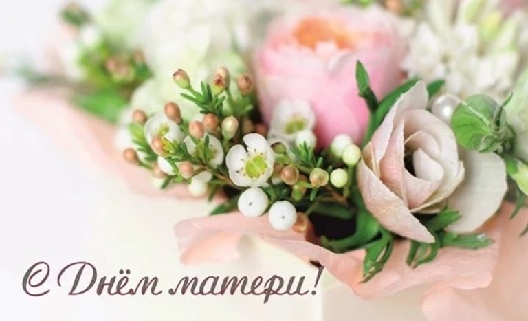 den_materi261123