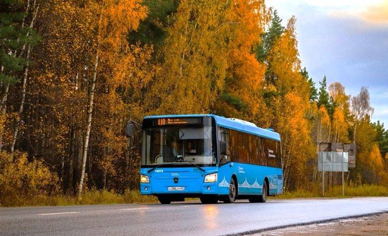 shkolnie_abonimenti_06_10_2025