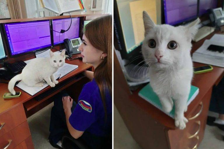 malenkii_puteshestvennik_07_03_2026