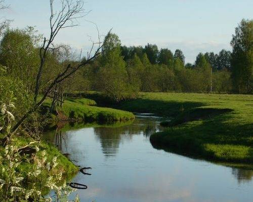 rzevskie_parki_05_04_2026