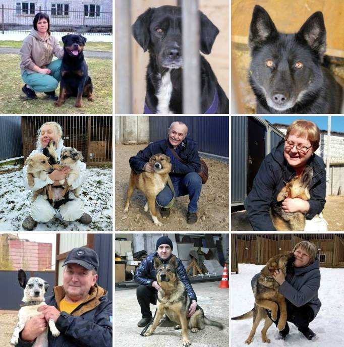 sobake_nuzhen_hozyain_13_04_2026